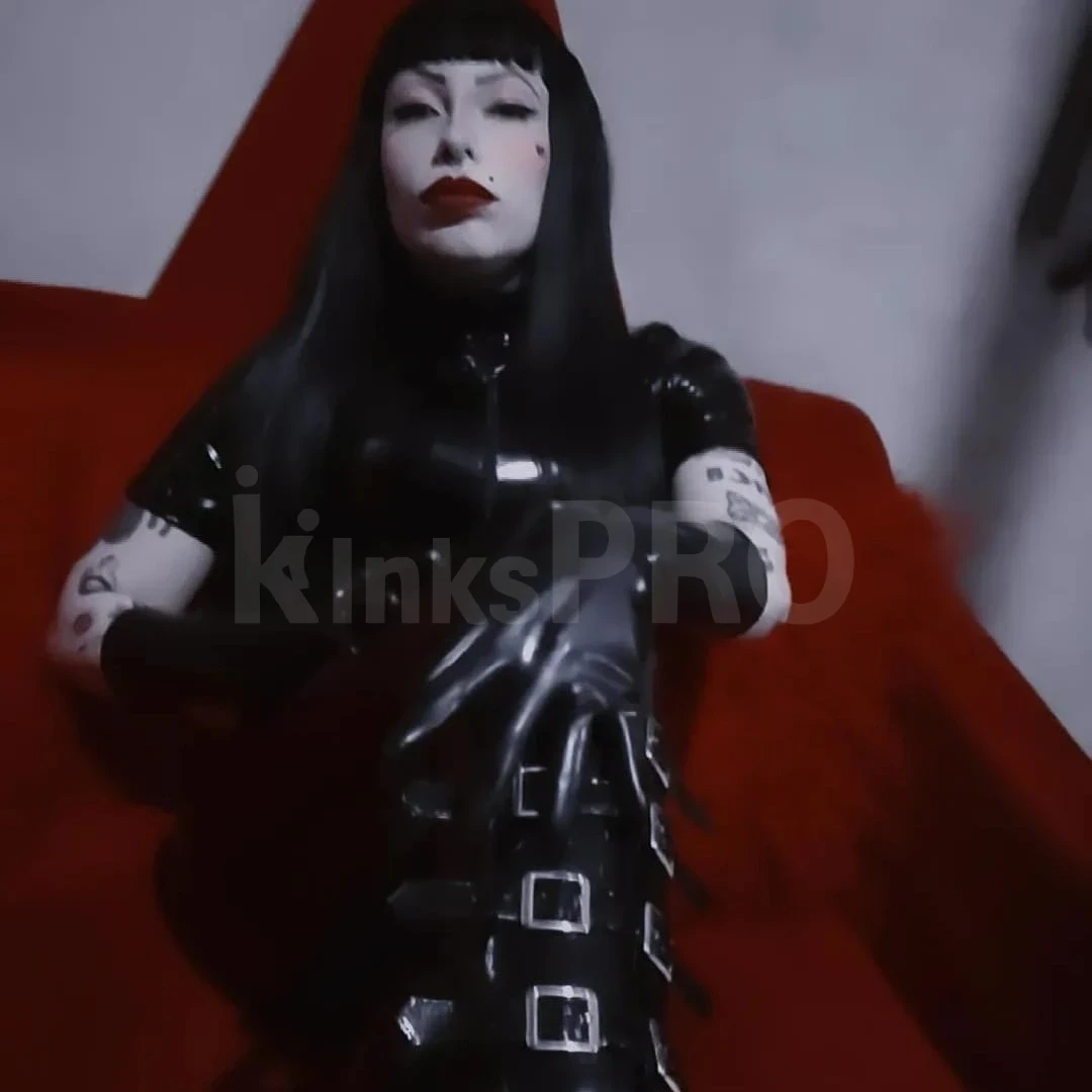 Foto de Queen Amy Addams  8